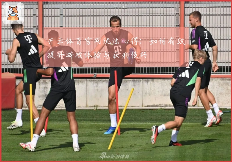 开云体育官网玩法心得：如何有效提升游戏体验与获利技巧